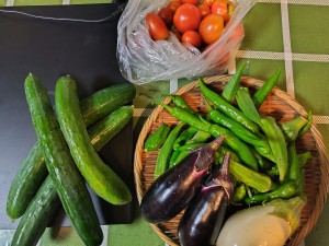 時には地元の友人が自家農園で採れた野菜を差し入れてくれることも